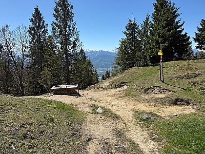 Am nächsten Wegweiser wenden wir uns nach rechts...