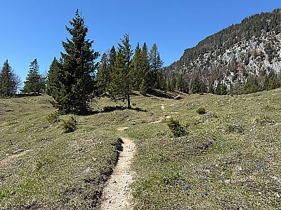 ...und wandern in südöstlicher Richtung aufs Feuerköpfl zu