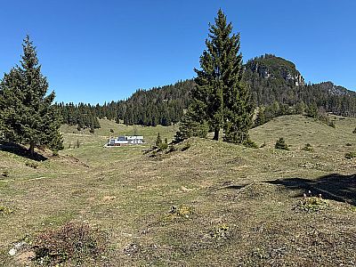 Vorschaubild 4