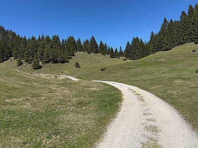 ...wählen wir den direkten Rückweg über den Thierseer Mühlengeist