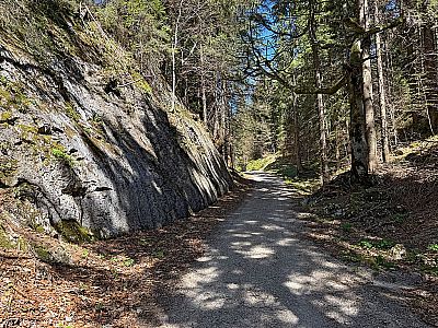 Wir tauchen wieder in den Bergwald ein...
