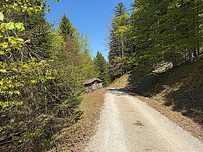 ...und kommen nach einem Holzlagerplatz...