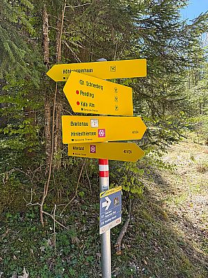 ...zu einer Mehrfachverzweigung