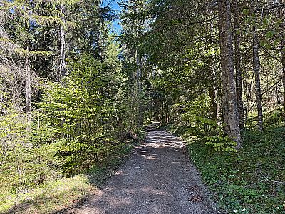 Wir biegen scharf rechts ab Richtung Schneeberg...
