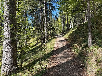 Nach dem Mühlengeist gilt es einen kleinen Gegenanstieg zu bewältigen