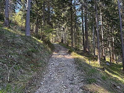 ...und folgen dem moderat ansteigenden Weg südwestwärts