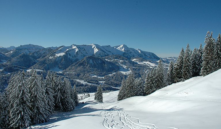 Feuerstätterkopf (1645 m)