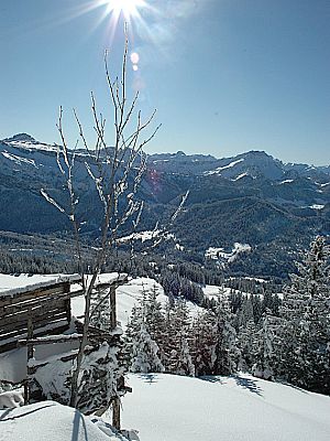 ...und herrlichem...