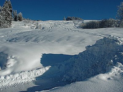 Direkt dahinter beginnt die Spur