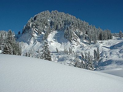 Links eine kleine Erhebung
