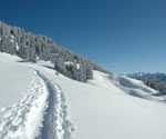 Vor der Hütte links halten