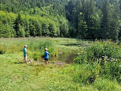 Das Ufer des Filblingsees