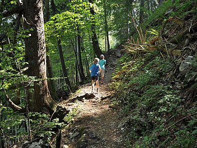 Der Weg wird nun schmäler 