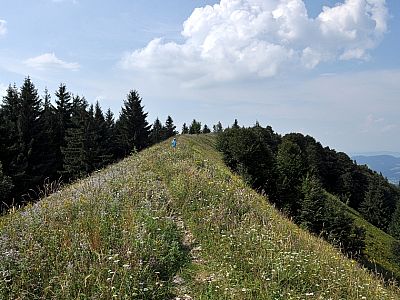 Auf den letzten Metern Richtung Gipfel, ...
