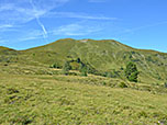 Blick zum Filzmooshörndl...