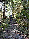 Durch lichten Wald...