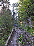 Wir tauchen nochmal in den Bergwald ein...