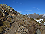 Der Weg wird steiniger