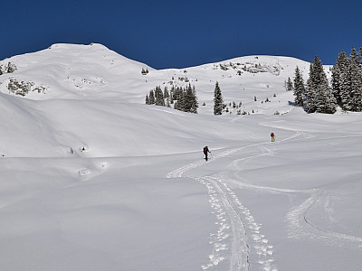 Bei den Bäumen in der Bildmitte halten wir uns rechts