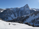 Die Hintenkar-Niederalm, dahinter der Große Rettenstein