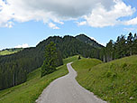 ...und halten auf den Fockenstein zu