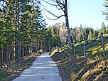 Durch lichten Bergwald...