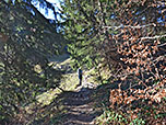 Wir verlassen den Bergwald...