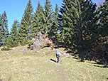 ...und wenden uns an einem Wiesensattel nach Norden