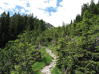 Bei schönem Wetter wird's heiß zwischen den Latschen