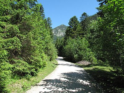 Über einen breiten Fahrweg...
