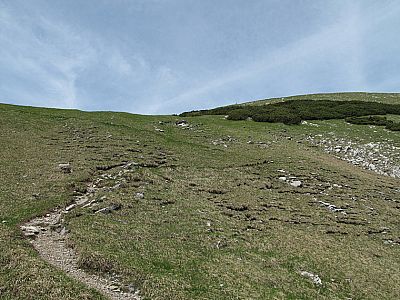 Über die grasige Flanke zum Gipfel