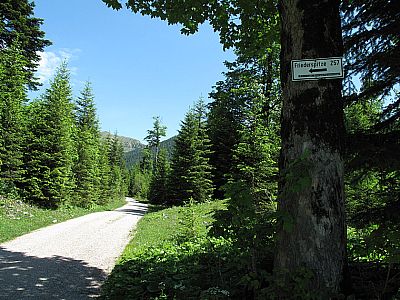 Wegweiser am rechten Rand