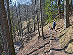 Durch lichten Wald geht es leicht bergab