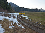 Hier biegen wir links in den Karrenweg ein...
