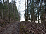 ...und setzten unsere Wanderung über einen nicht mehr beschilderten Waldweg fort