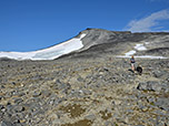 Wir wandern über die Hochfläche unterhalb der Svellnose...