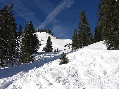 ...und bewaldetes Gelände...
