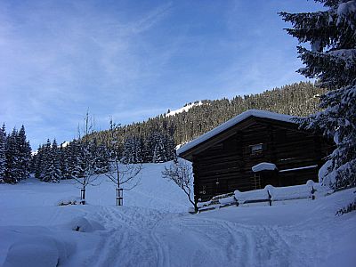 Am Ende des Forstwegs...