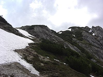 Kurz vor der Gipfelfläche