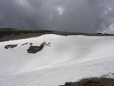 "Feld" trifft den Nagel auf den Kopf