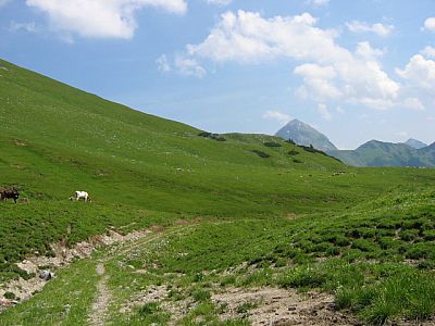 Über Weiden geht's...