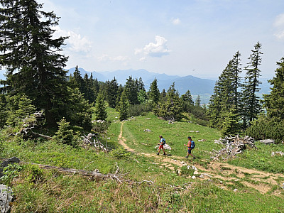 ... erreichen wir die Wiesen vor der Alm