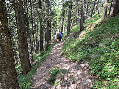 Über Stock und Stein geht  es ...