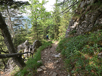 Der Weg ist gut markiert, aber nicht grade knieschonend