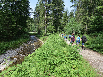 Entlang des Großwaldbachs marschieren wir wieder zurück zum Parkplatz