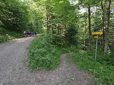 Wieder treffen wir auf die Straße, der wir ein paar Meter nach rechts folgen 