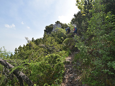 Mit zunehmender Höhe wird der Weg anspruchsvoller