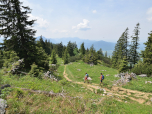 ... erreichen wir die Wiesen vor der Alm