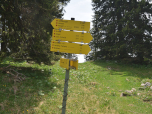 Wir marschieren weiter nach Westen zu nahen Kohleralm