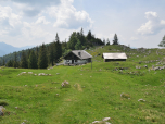 Die Kohleralm